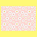 WrappingPaper-Sheet-28x20-20250803112341384