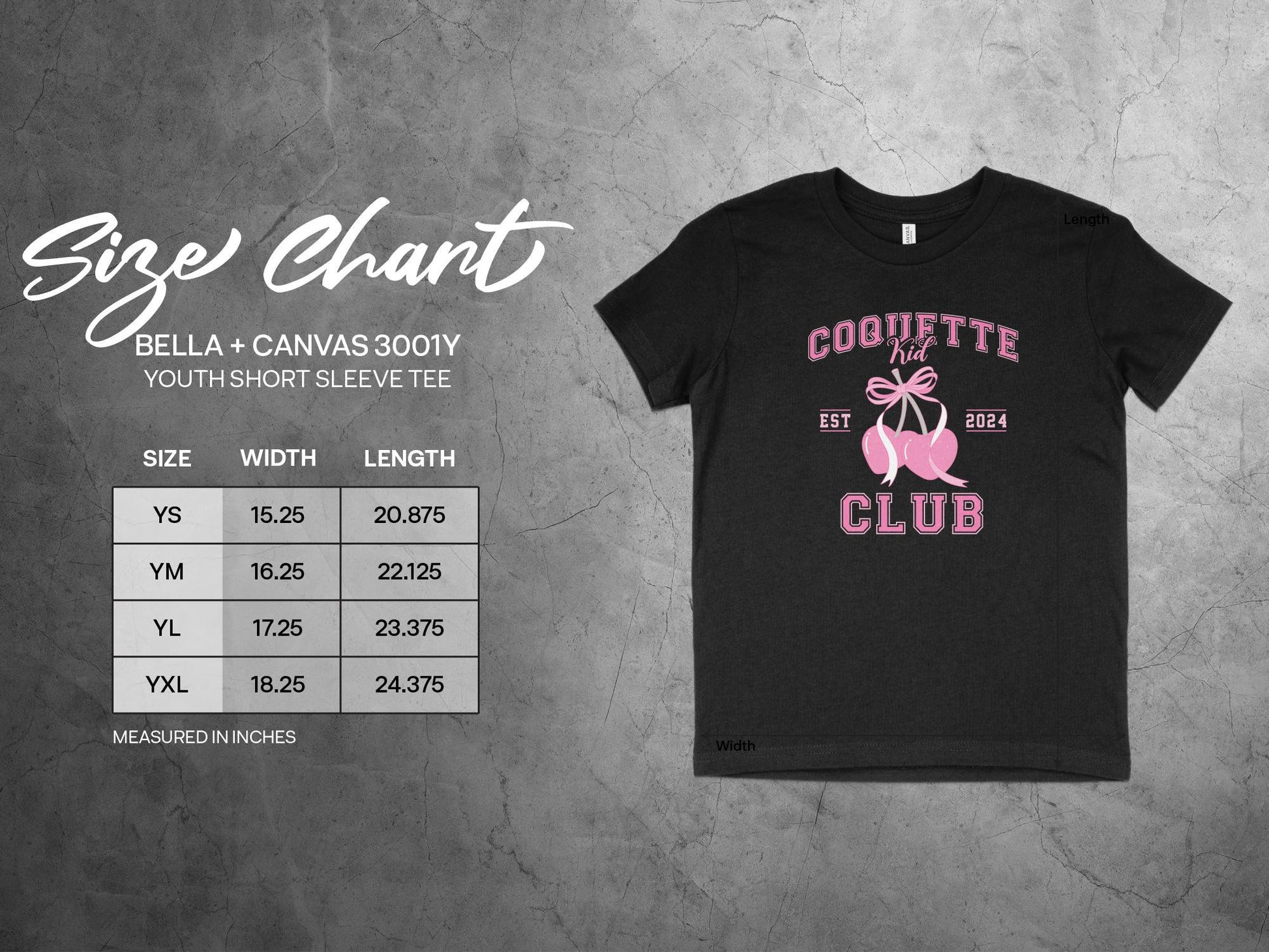 Mom and Me Coquette Club T-Shirt, Mama and Mini Matching Shirts, Mother's Day Gift, Pink Graphic Tee, Established 2024 Family Tees